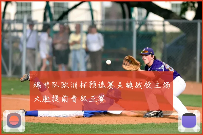 瑞典队欧洲杯预选赛关键战役主场大胜提前晋级正赛