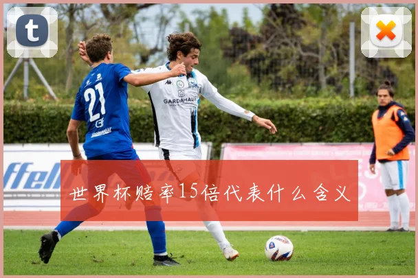 世界杯赔率15倍代表什么含义