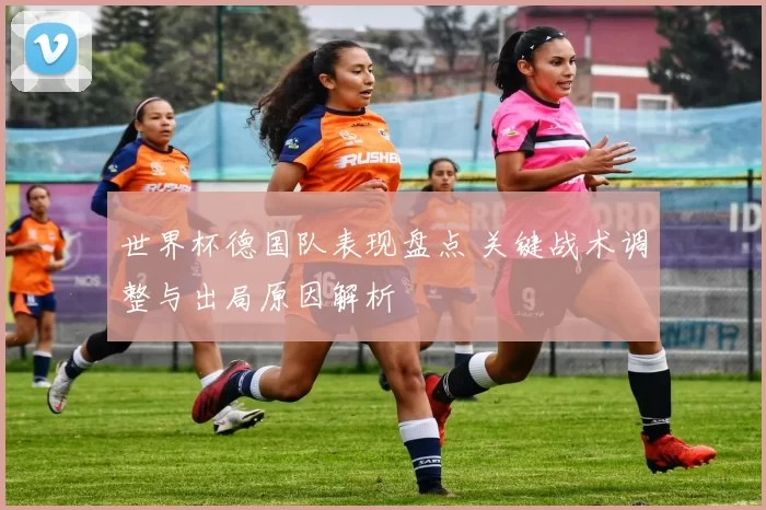 世界杯德国队表现盘点 关键战术调整与出局原因解析