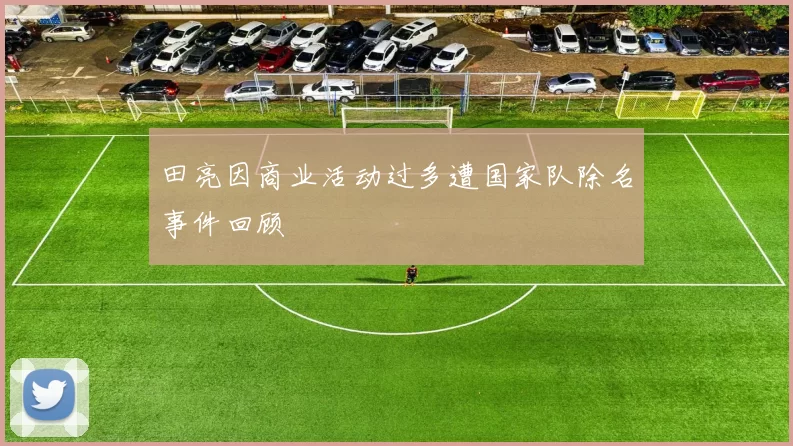 田亮因商业活动过多遭国家队除名事件回顾