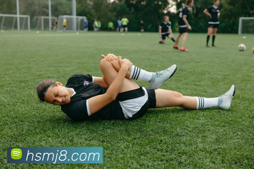 App Interface Preview