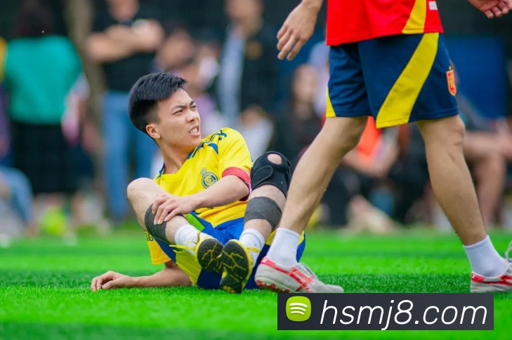 开云在线官网登录app(中国)有限公司 - 官网APP 封面图